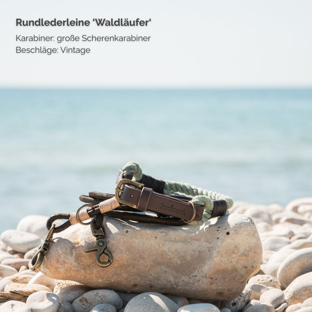 Runde Leder-Hundeleine "Waldläufer" mit hochwertigem Scherenkarabiner und vintage Beschlägen, vor sandigem Hintergrund.