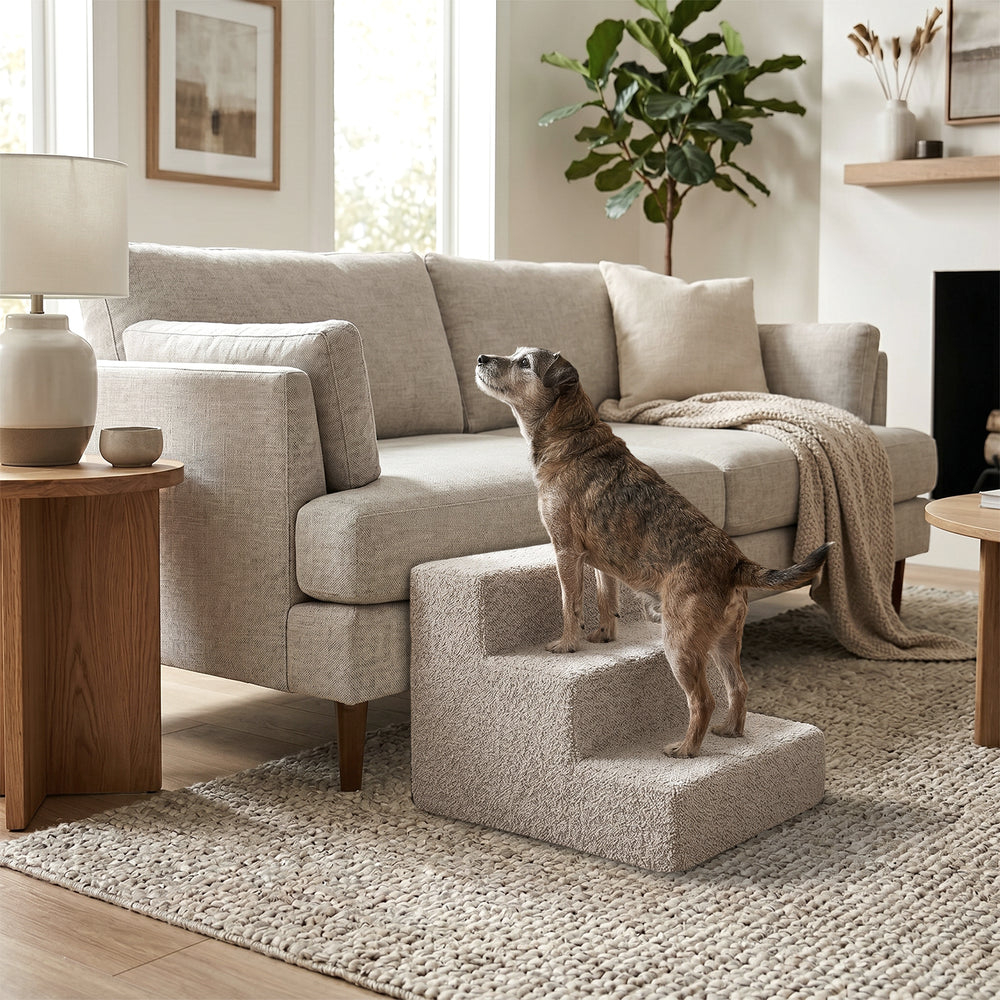 Gemütliche Nubosteps Bouclé Haustiertreppe im Wohnzimmer vor einem grauen Sofa mit Kissen und Holzbeistelltisch.