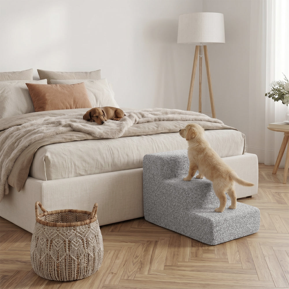 "Kleiner Hund auf Bett, Welpe auf Haustiertreppe Nubosteps Bouclé im gemütlichen Schlafzimmer."