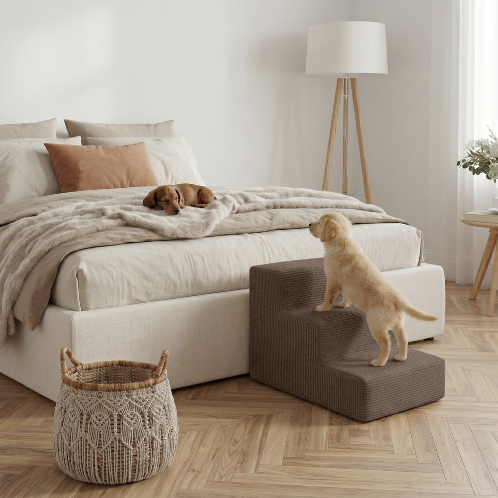 "Haustiertreppe Nubosteps Cord im Schlafzimmer, Hund auf dem Bett und kleiner Hund vor der Treppe."
