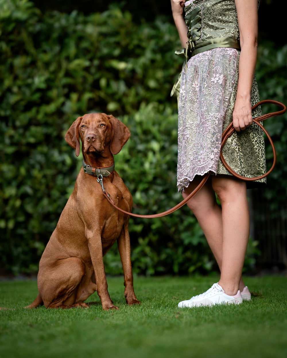 Brauner Hund mit Halsband Zillertal sitzt neben einer Person in gehäkeltem Kleid auf grüner Wiese, umgeben von Sträuchern.