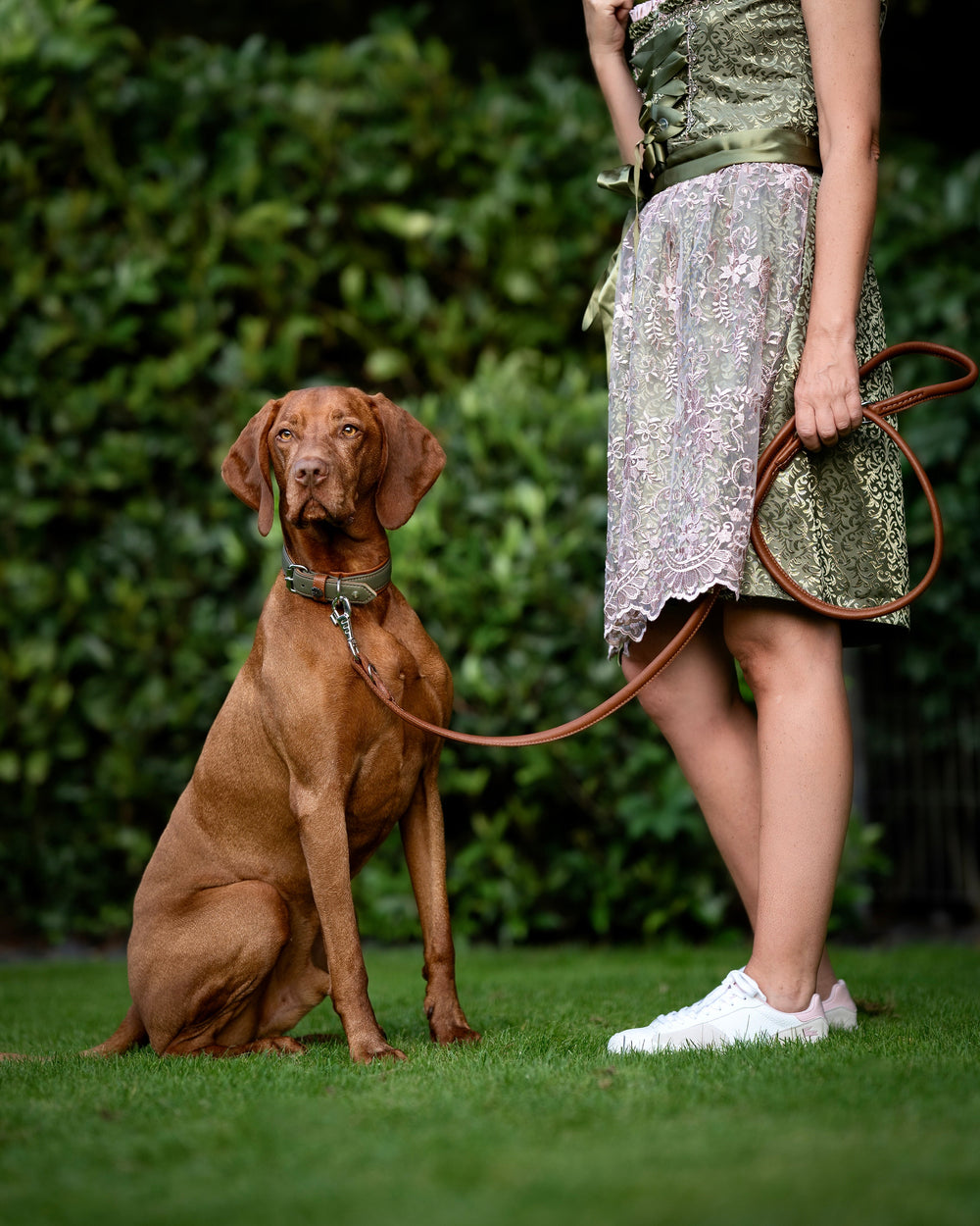 Brauner Hund mit Halsband Zillertal sitzt neben einer Person in gehäkeltem Kleid auf grüner Wiese, umgeben von Sträuchern.