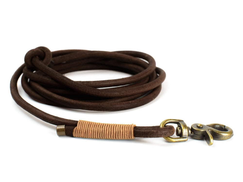 Braune Schleppleine aus weichem Material mit Metallkarabiner, ideal für Hundegeschirre und entspannte Spaziergänge.