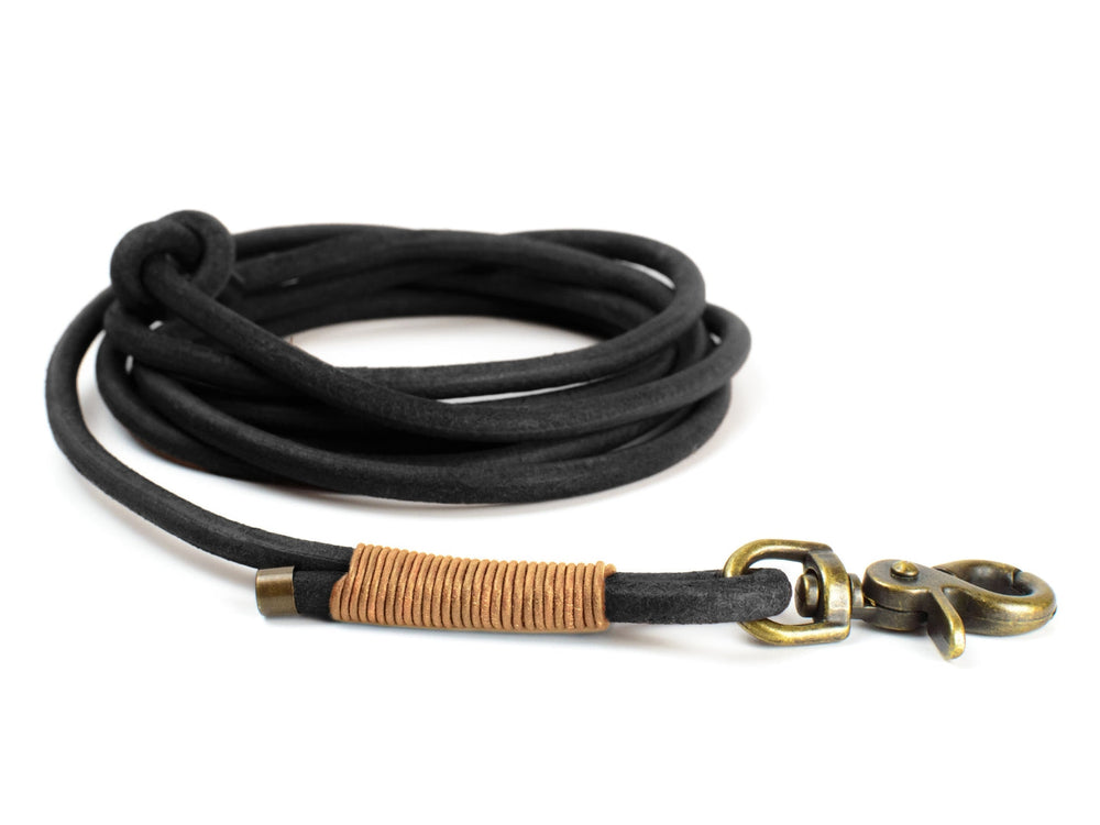 Schwarze Schleppleine aus robustem Material mit Messingkarabiner und geflochtenem Griff, ideal für Hundeausflüge.