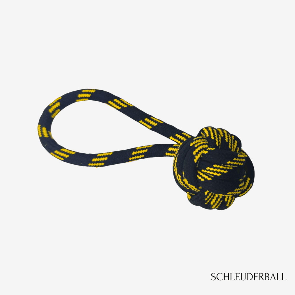 "Bunter Hundespielzeug Tau mit geflochtenem Ball in Blau und Gelb für interaktive Spiele mit Hunden."