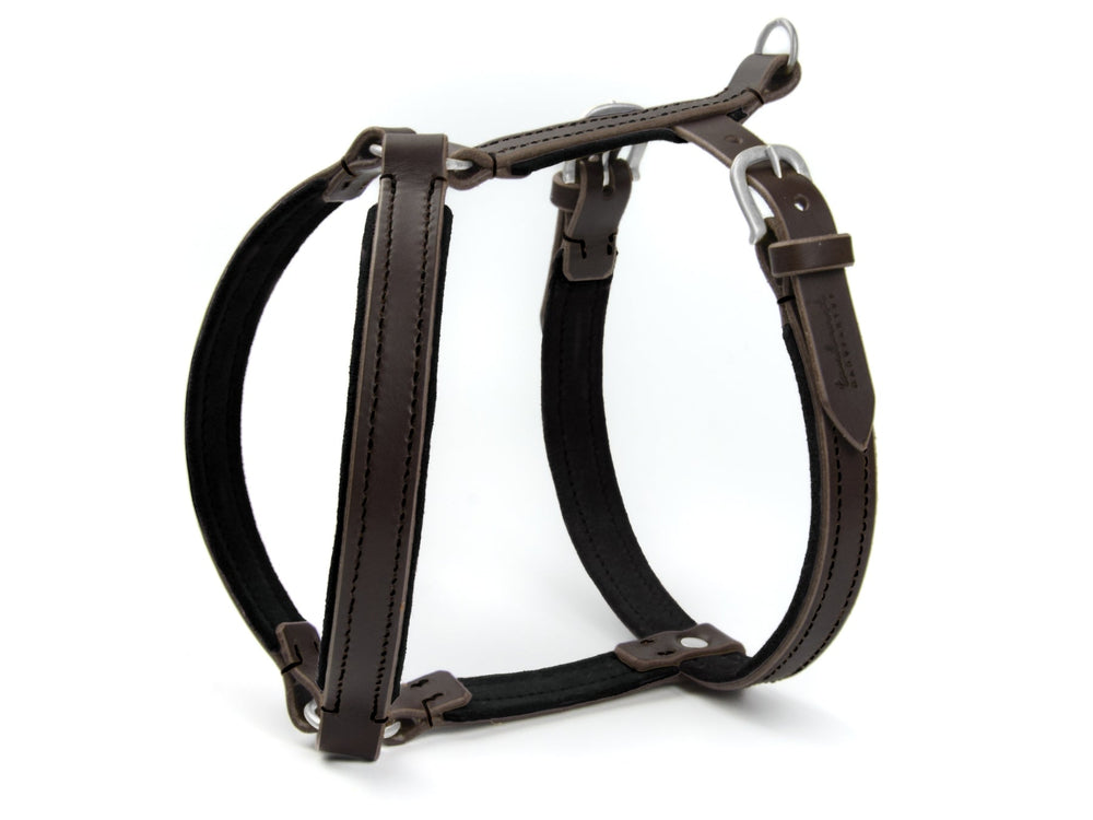 Braunes Ledergeschirr WILDFANG für Hunde mit komfortabler Polsterung und robusten Metallbeschlägen.