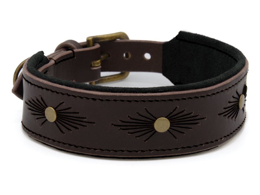 Braunes Lederhalsband WOODSTOCK mit strahlenförmigen Prägungen und goldfarbenen Nieten für stilbewusste Hunde.