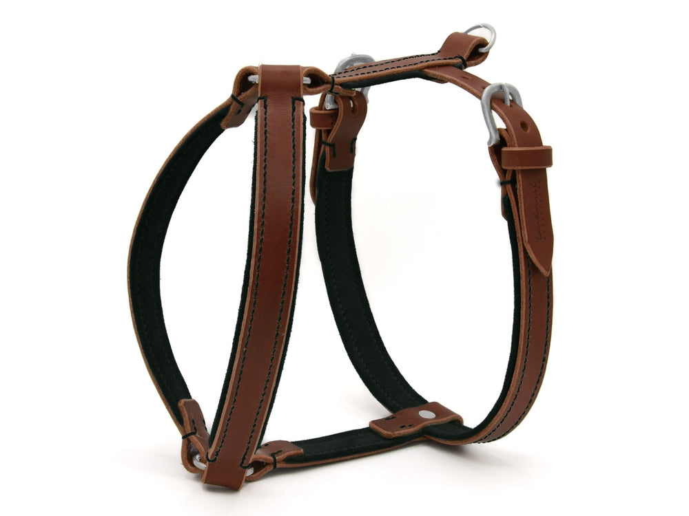 Braunes Ledergeschirr WILDFANG für Hunde mit silbernen Beschlägen und schwarzer Polsterung, hochwertige Verarbeitung und sichtbare Nähte.