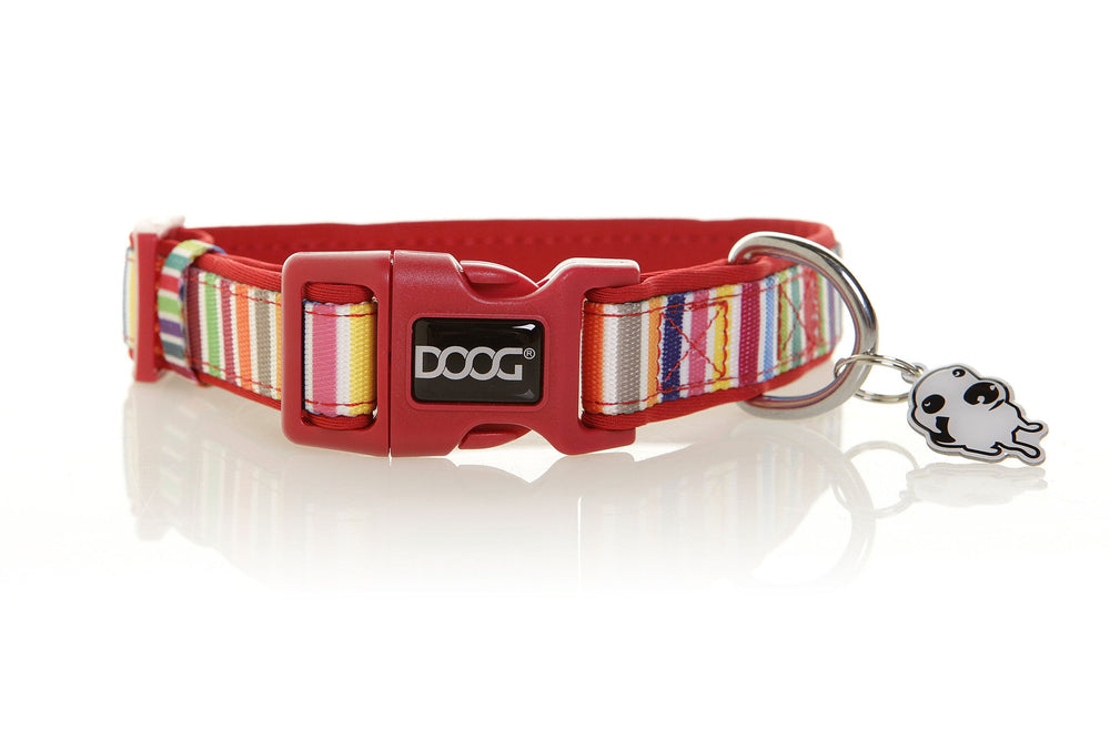 Neopren-Hundehalsband in leuchtendem Rot mit buntem Muster, robustem Verschluss und Anhänger im Tierdesign.