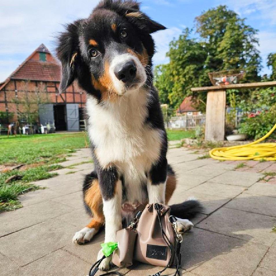 Kotbeutelspender WOOFED. in stylischem Design, vegan und praktisch, ideal für Hundebesitzer beim Spaziergang.