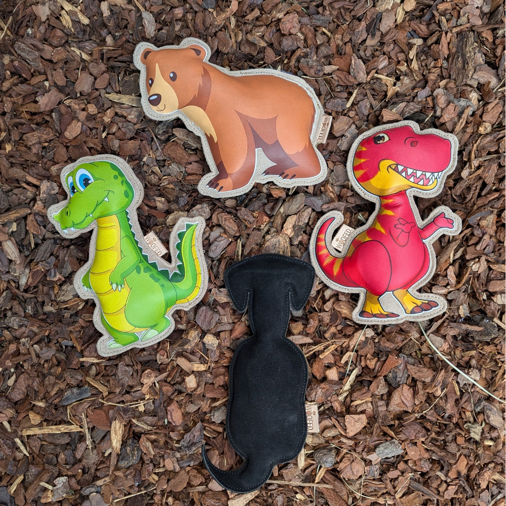 Hundespielzeug Bär "Buddy" in buntem Design, ideal für Apportier- und Wurfspiele, robust und langlebig für aktiven Hundespaß.