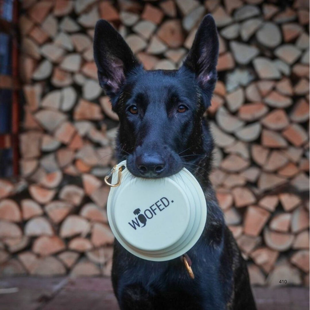 Faltbarer Reisenapf 500ml für Hunde, ideal für Futter und Wasser unterwegs, leicht und platzsparend.