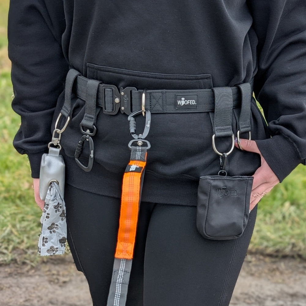 Gassigürtel Joggingleine Bundle für komfortable Hundespaziergänge mit ergonomischem Gürtel und Bungee-Leine.