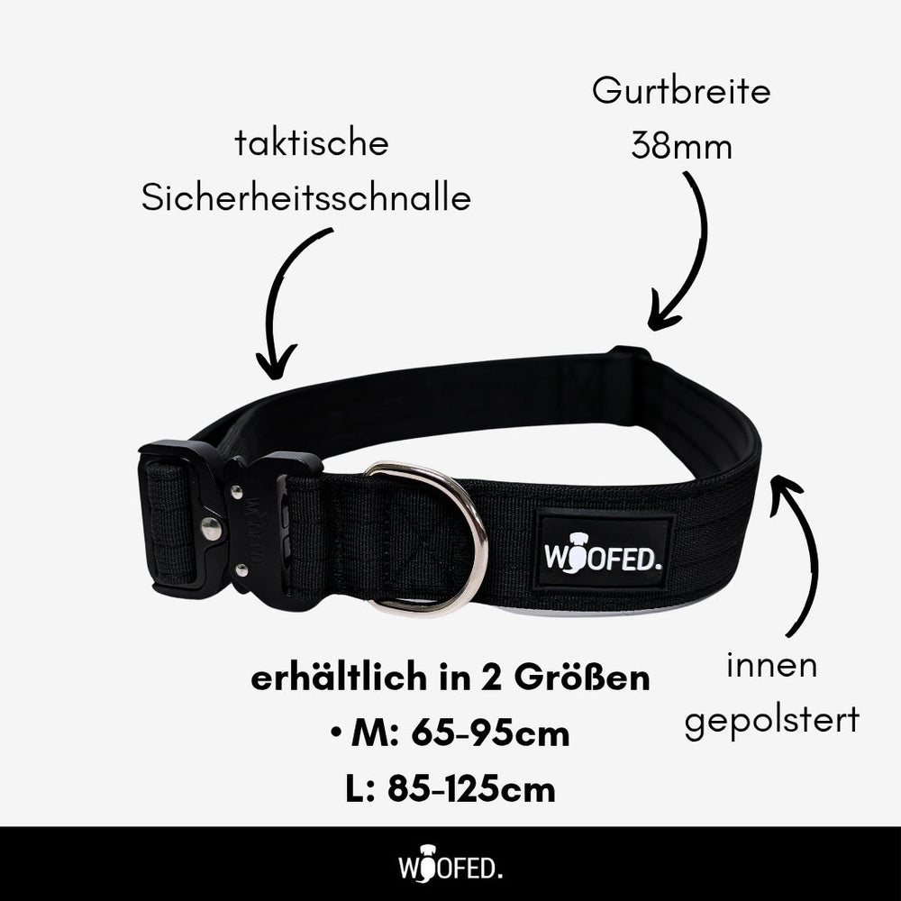 Gassigürtel und Bungee Joggingleine Bundle für entspanntes Gassigehen und Joggen mit Hund, ergonomisch und sicher.