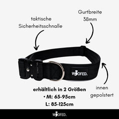 Gassigürtel und Bungee Joggingleine Bundle für entspanntes Gassigehen und Joggen mit Hund, ergonomisch und sicher.