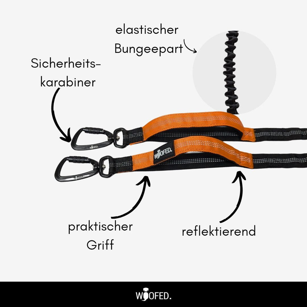 Gassigürtel Joggingleine Bundle in Orange und Schwarz für sicheres und komfortables Gassigehen mit Hund.