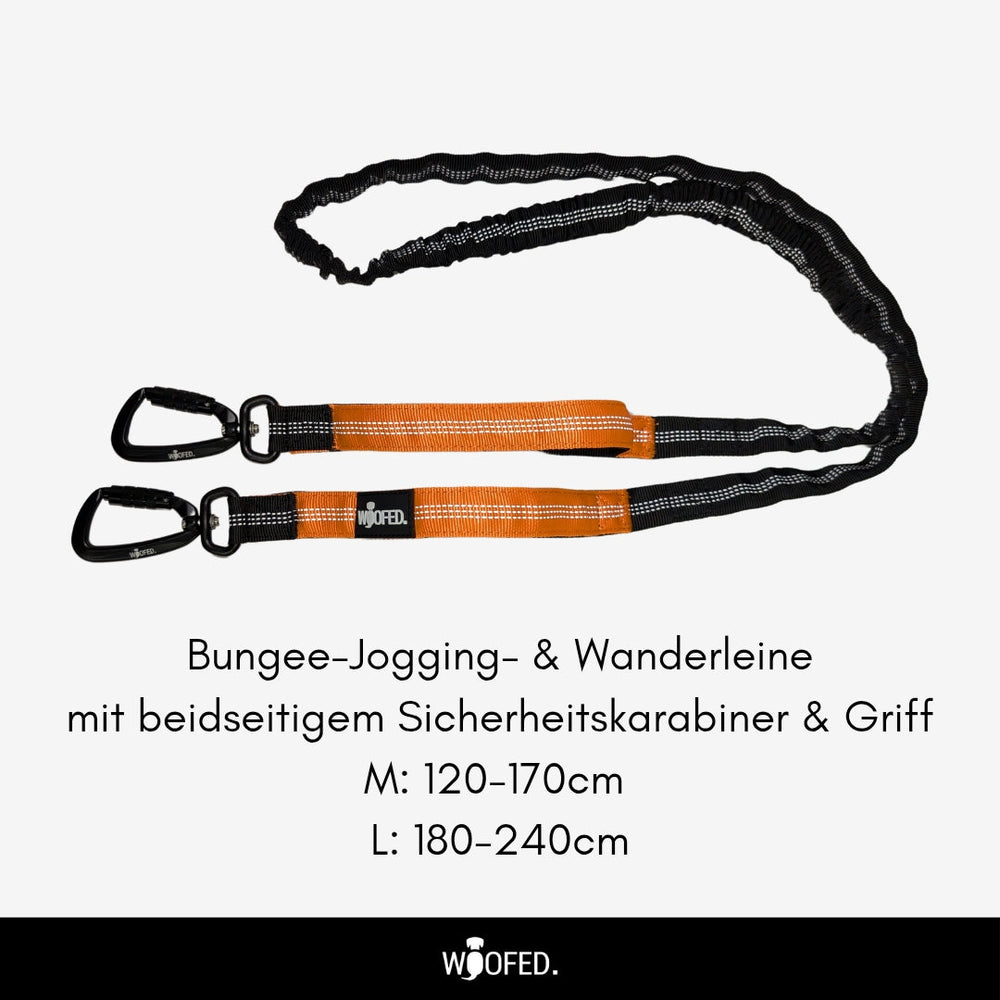 Gassigürtel Joggingleine Bundle mit Bungee-Leine und Karabinern für entspanntes Joggen und Wandern mit Hund