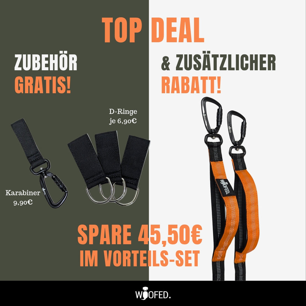 Gassigürtel Joggingleine Bundle für maximale Freiheit beim Gassigehen, Joggen und Wandern mit deinem Hund.