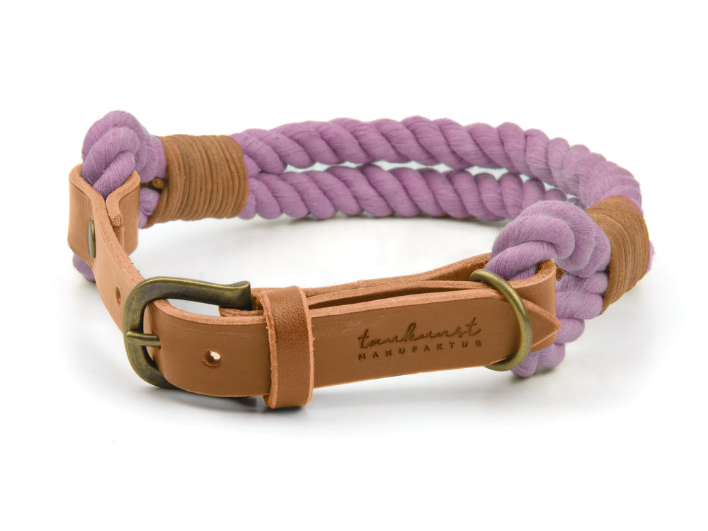 Stylisches lilafarbenes Hundehalsband mit braunem Lederbesatz und Messingschnalle. Perfekt für modebewusste Hunde.