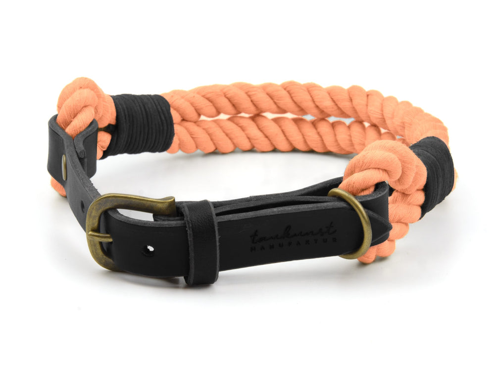 Orangefarbenes geflochtenes Hundehalsband aus Seil und schwarzem Leder mit robuster metallischer Schnalle.