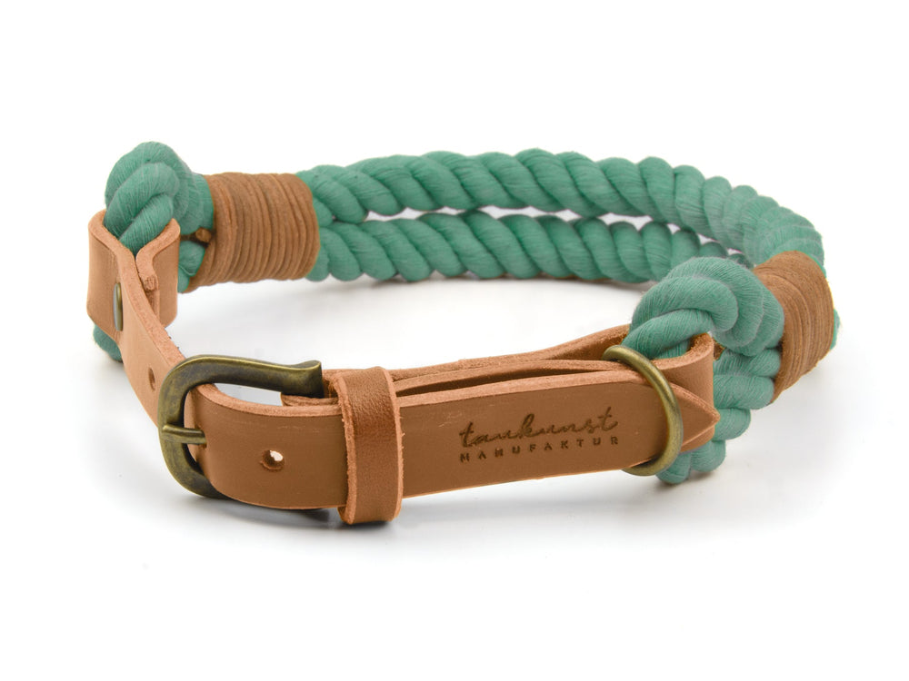 Türkisfarbenes geflochtenes Hundehalsband mit braunem Leder undmetallischem Verschluss, Schriftzug „Ahoi“ sichtbar.