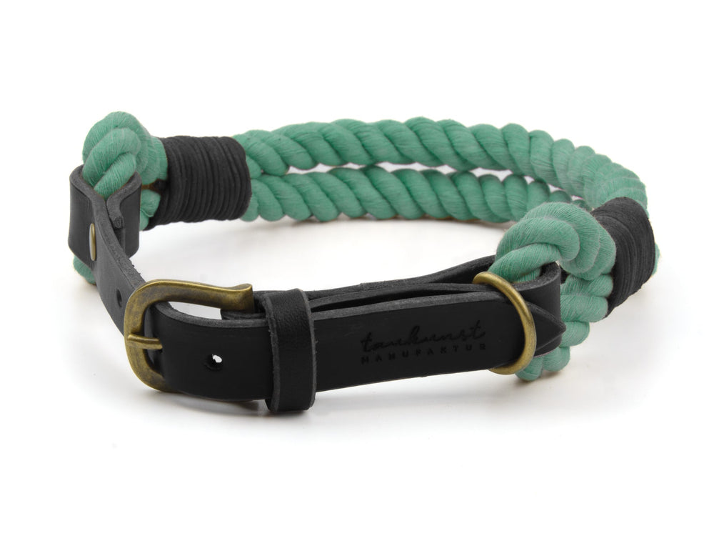 Grünes geflochtenes Seil-Hundehalsband mit schwarzem Leder und stabiler Metallschnalle für optimalen Halt.