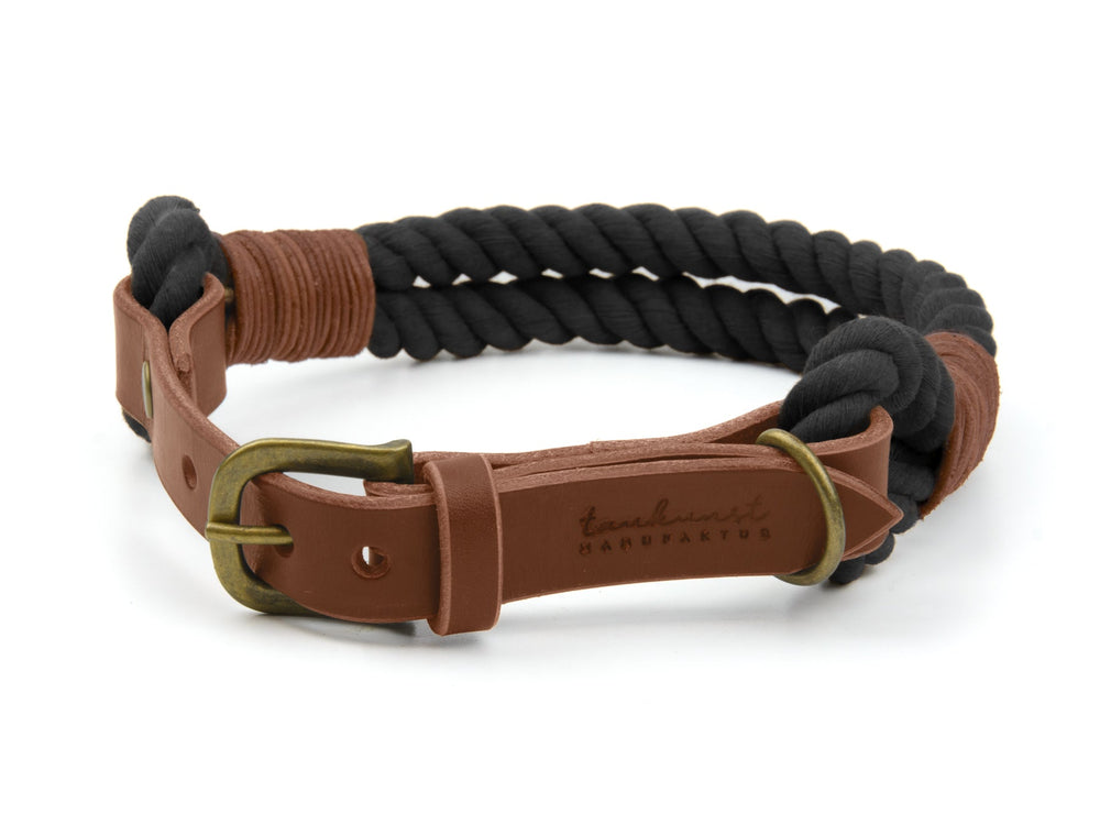 Schwarzes geflochtenes Hundehalsband mit braunem Leder und goldfarbener Metallschnalle für stilvolle Haustiere.