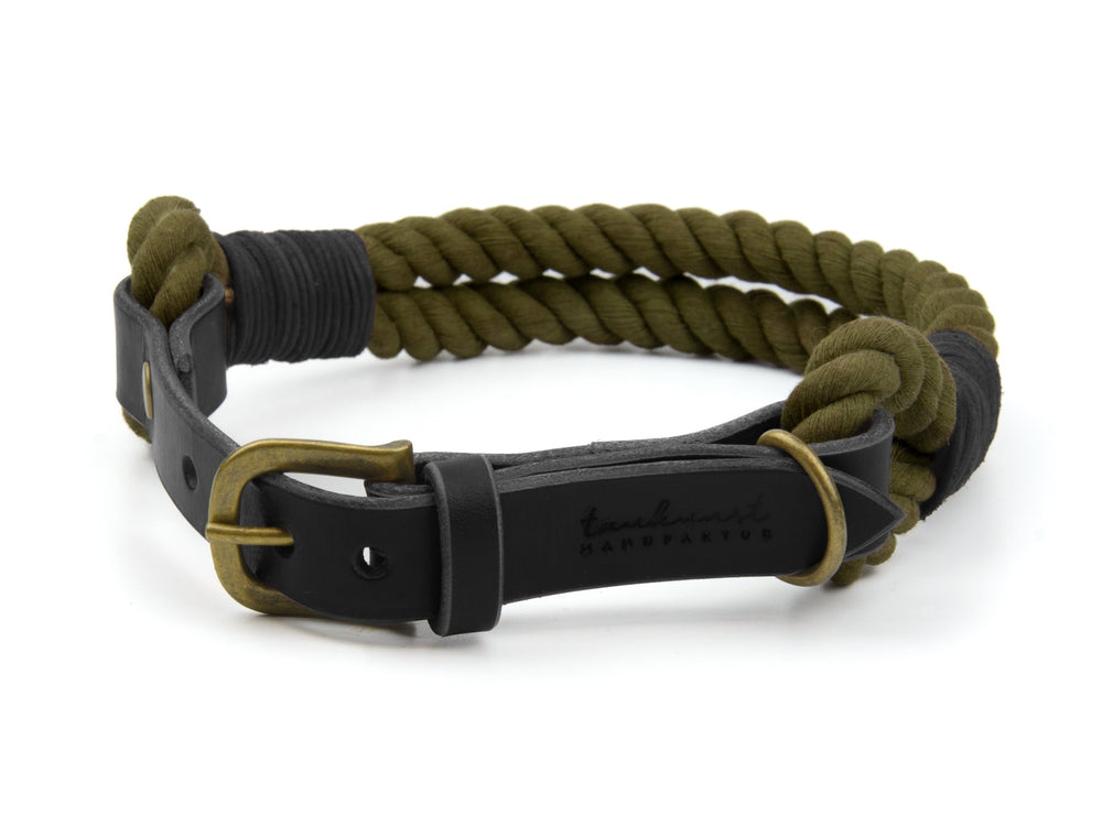 Olivgrünes geflochtenes Hundehalsband mit schwarzem Leder und goldfarbener Schnalle. Stilvoll und robust für aktive Hunde.