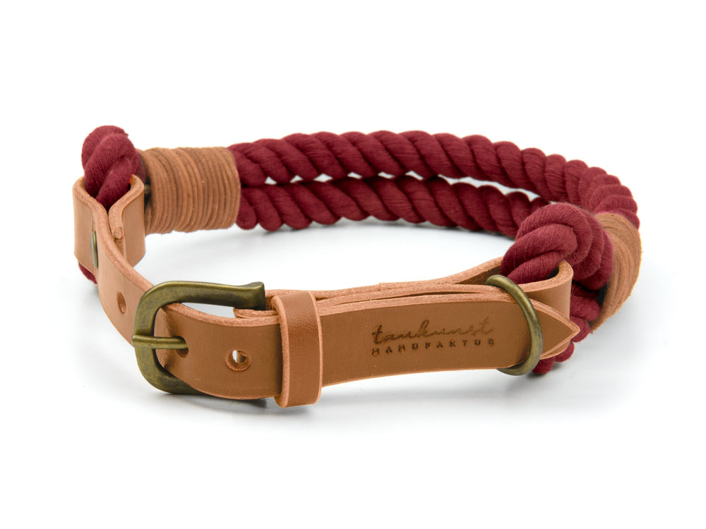 Rotes geflochtenes Hundehalsband mit braunem Leder und goldfarbener Schnalle, robust und stilvoll.
