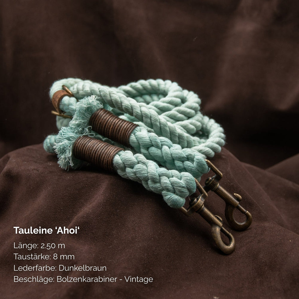 "Hundeleine Ahoi in mintgrün mit 2,50 m Länge und 8 mm Taustärke, dunkle Lederbeschläge."