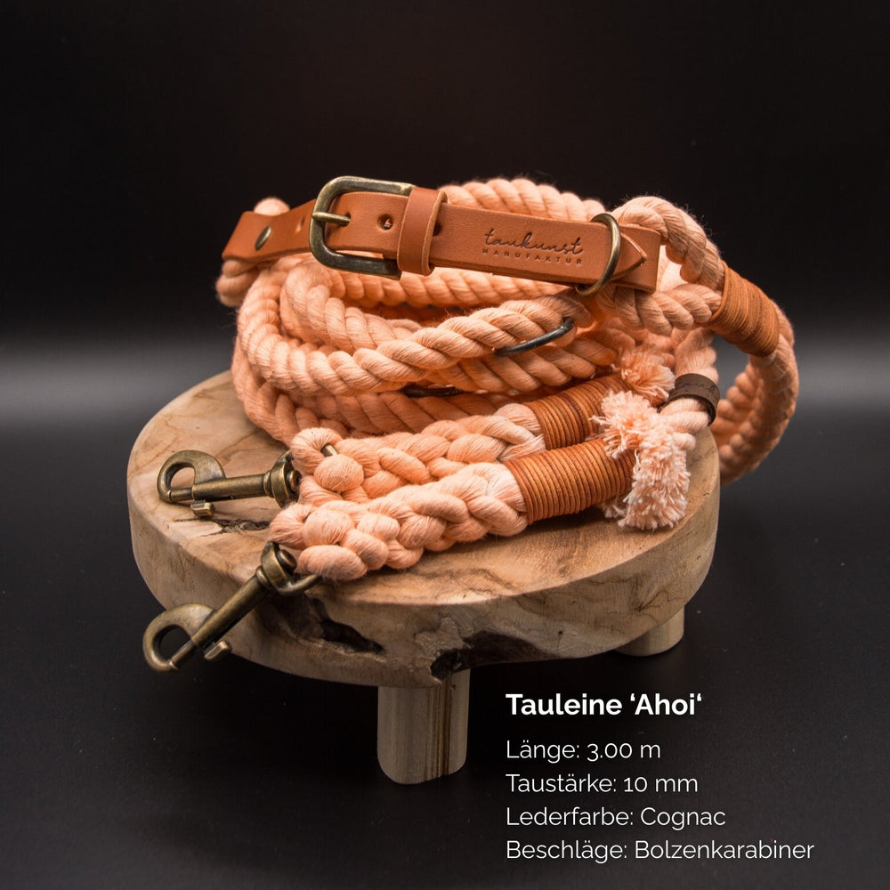 "Hundeleine Ahoi, 3 m lang, 10 mm dick, aus geflochtenem hellem Material, ideal für aktive Hundebesitzer."