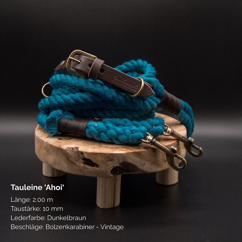 "Leuchtend türkise Tauleine Ahoi aus geflochtenem Material, 2m lang, 10mm dick, ideal für aktive Hunde."