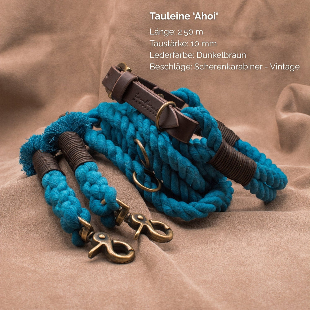 Doppelt geflochtene Tauleine in 2,50 m Länge, 10 mm dick, türkise Farbe mit Lederbesätzen. Ideal für Hunde.