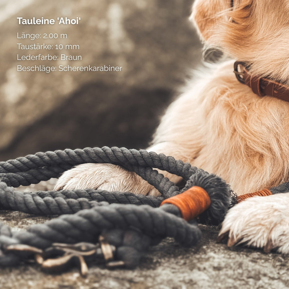 Taupefarbene Hundeleine mit 2m Länge, 10mm Taustärke, Lederschlaufe in Braun und Scherenkarabiner. Ideal für Hundebesitzer.