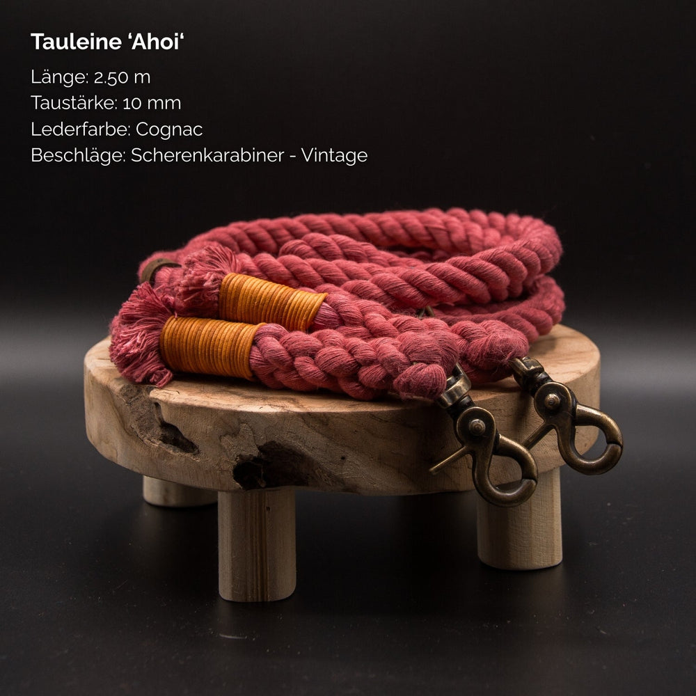 Tauleine "Ahoi" in Rot mit cognacfarbenen Lederdetails, 2,50 m lang und 10 mm dick. Ideal für Abenteuer mit Ihrem Hund.