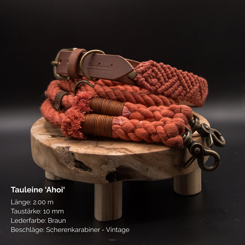 Braune Hundeleine "Ahoi" aus Leder, 2 m lang, 10 mm dick – ideal für gemeinsame Abenteuer mit Ihrem Hund.