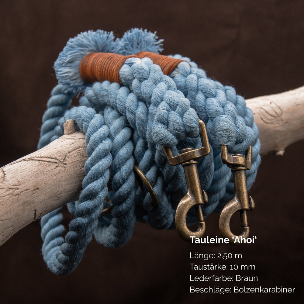 Blaue 2,5 m lange Tauleine mit 10 mm Stärke und braunen Lederakzenten, ausgestattet mit zwei Bolzenkarabinern.