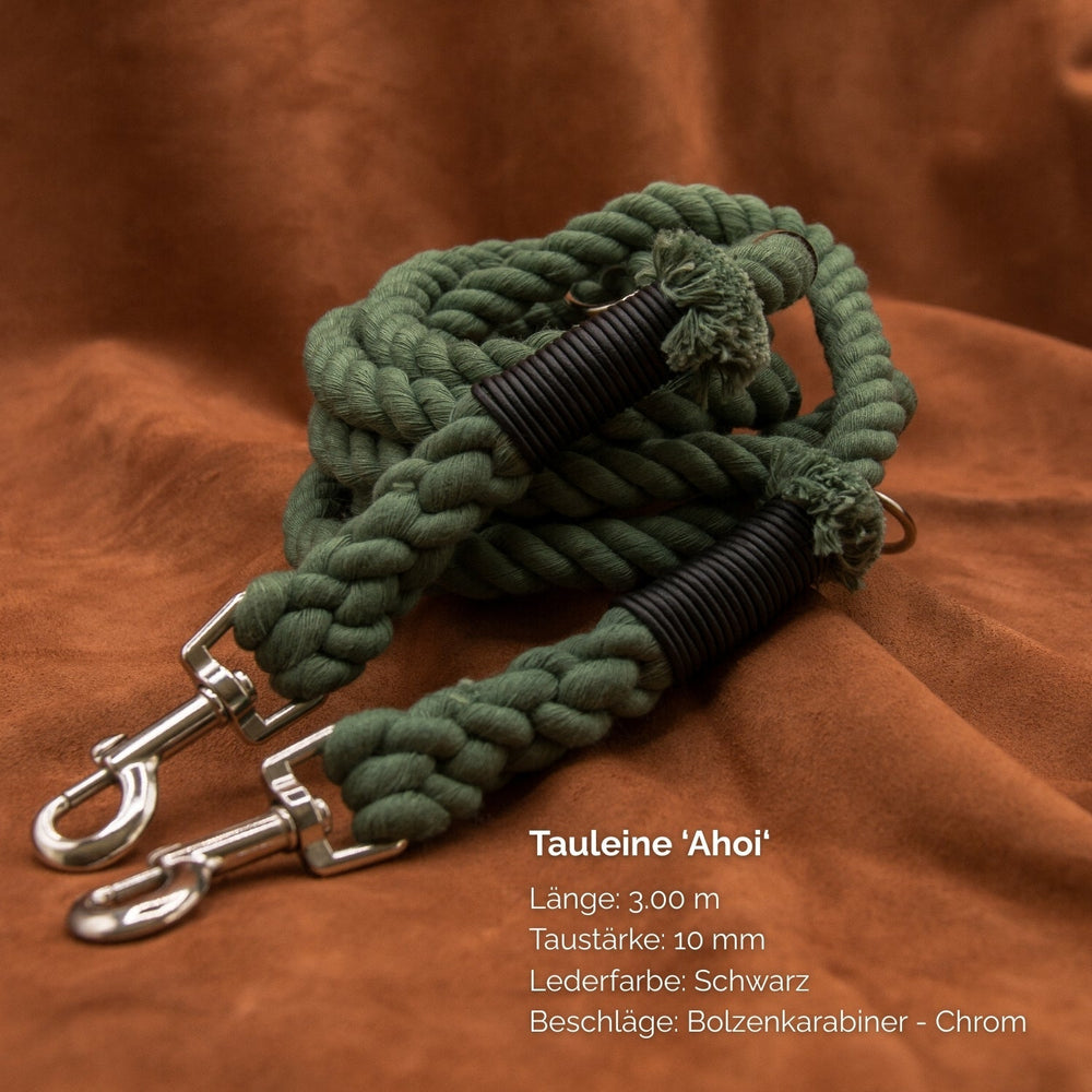 Grüne 3 Meter lange Tauleine mit 10 mm Taustärke, geflochten, ausgestattet mit zwei Chrom-Bolzenkarabinern.