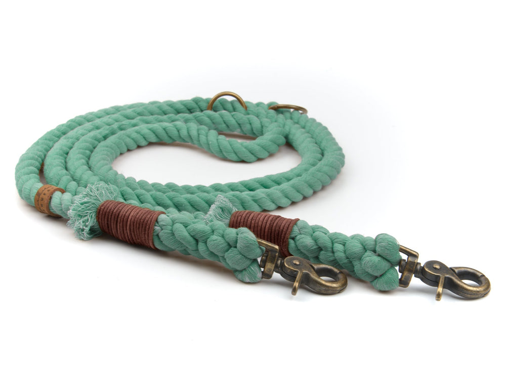 Grüne geflochtene Rope-Tauleine mit robusten Karabinerhaken und dekorativer Wicklung aus Braun. Perfekt für Spaziergänge.