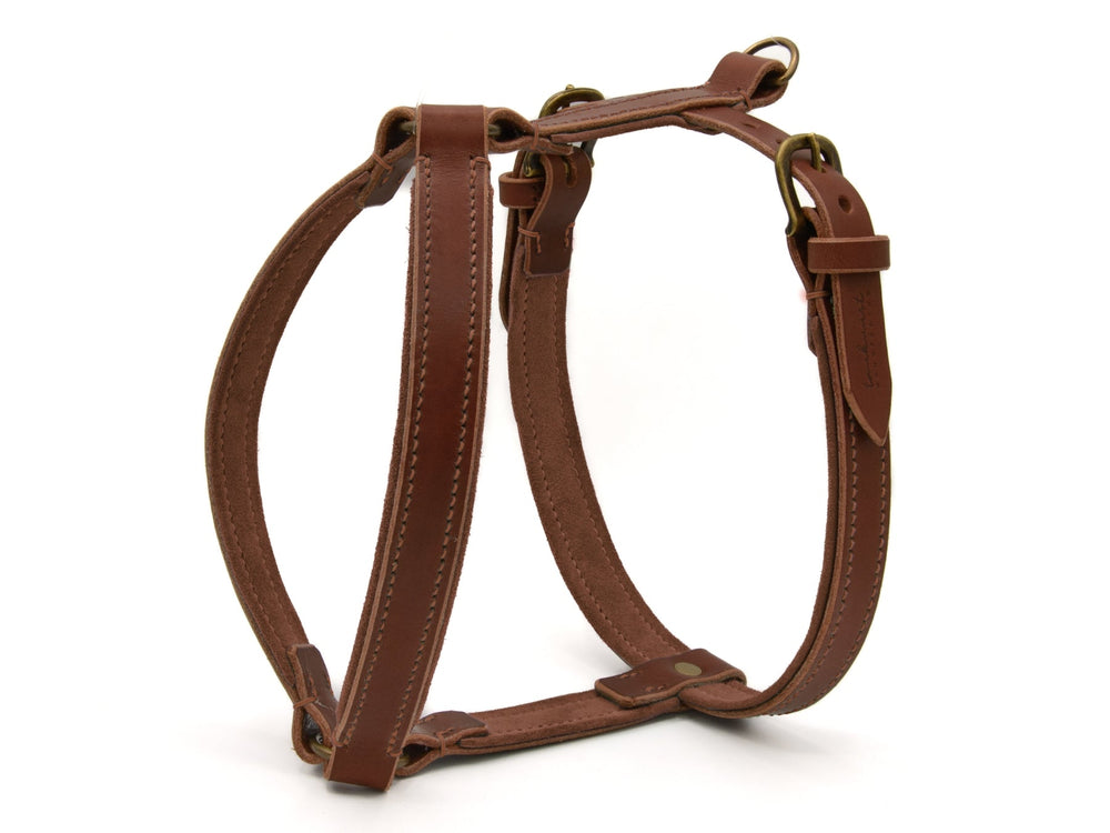 Braunes Ledergeschirr WILDFANG für Hunde mit verstellbaren Riemen und eleganten Metallbeschlägen.