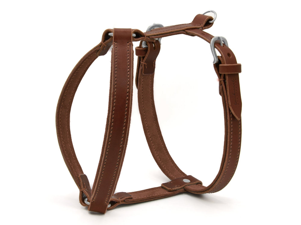 Braunes Ledergeschirr für Hunde mit stabilen Metallbefestigungen und robusten Nähten, ideal für sicheres Gassigehen.