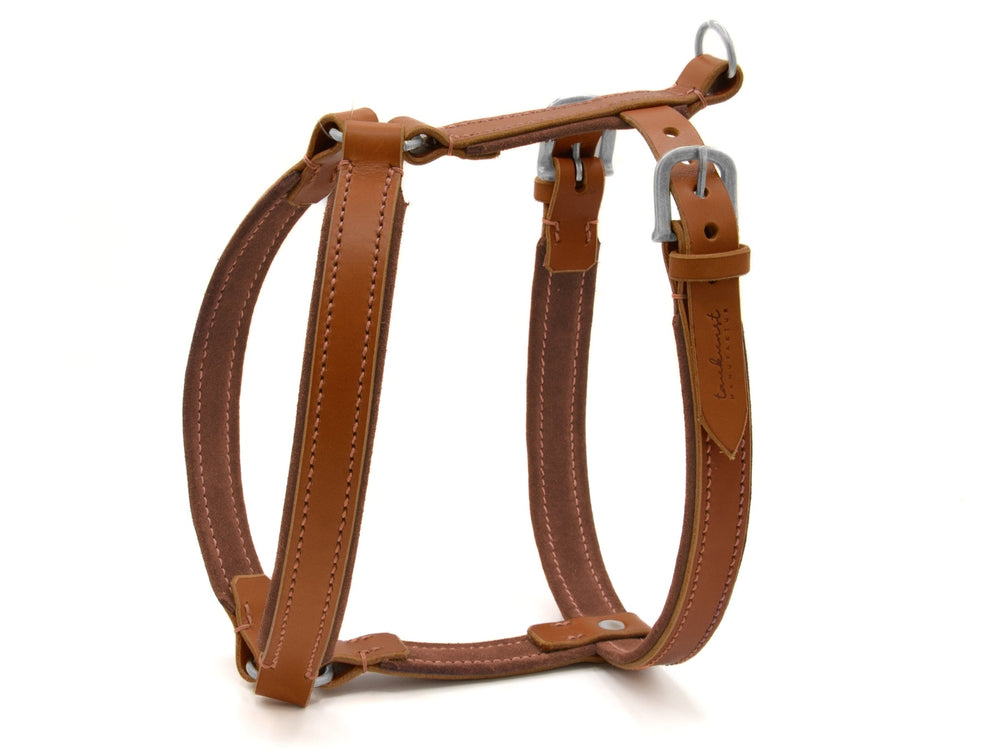 Braunes Ledergeschirr WILDFANG für Hunde mit verstellbaren Riemen und robusten Metallösen. Hochwertige Verarbeitung.