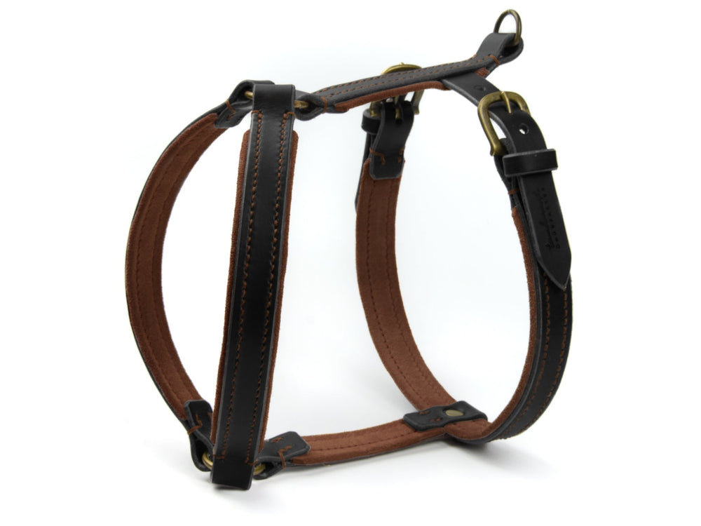 Hochwertiges Ledergeschirr WILDFANG für Hunde, braun-schwarz, verstärkte Nähte, glänzende Metallbeschläge.