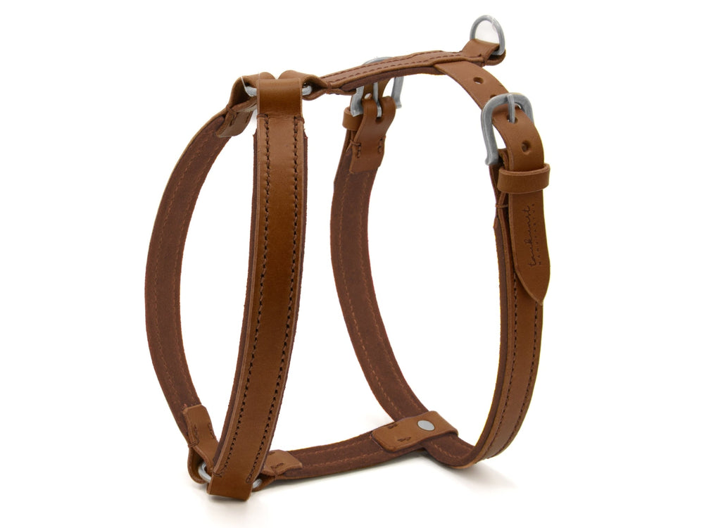 Braunes Ledergeschirr WILDFANG für Hunde, robust mit Metallringen, strapazierfähig und langlebig verarbeitet.
