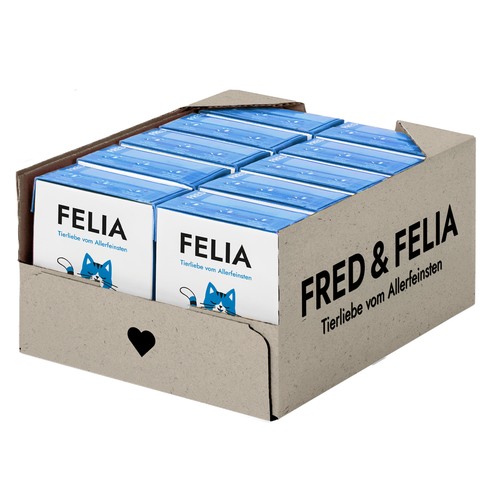 "Karton mit FELIA Seehecht Verpackungen in Blau und Katzengesicht-Grafik von FRED & FELIA."