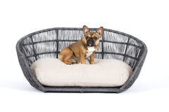 Kleiner Hund auf grauem Sessel mit beigem Kissen aus LUNA LOUNGE Bezug Set 2 tlg, ideal für stilvolle Wohnzimmerdekoration.