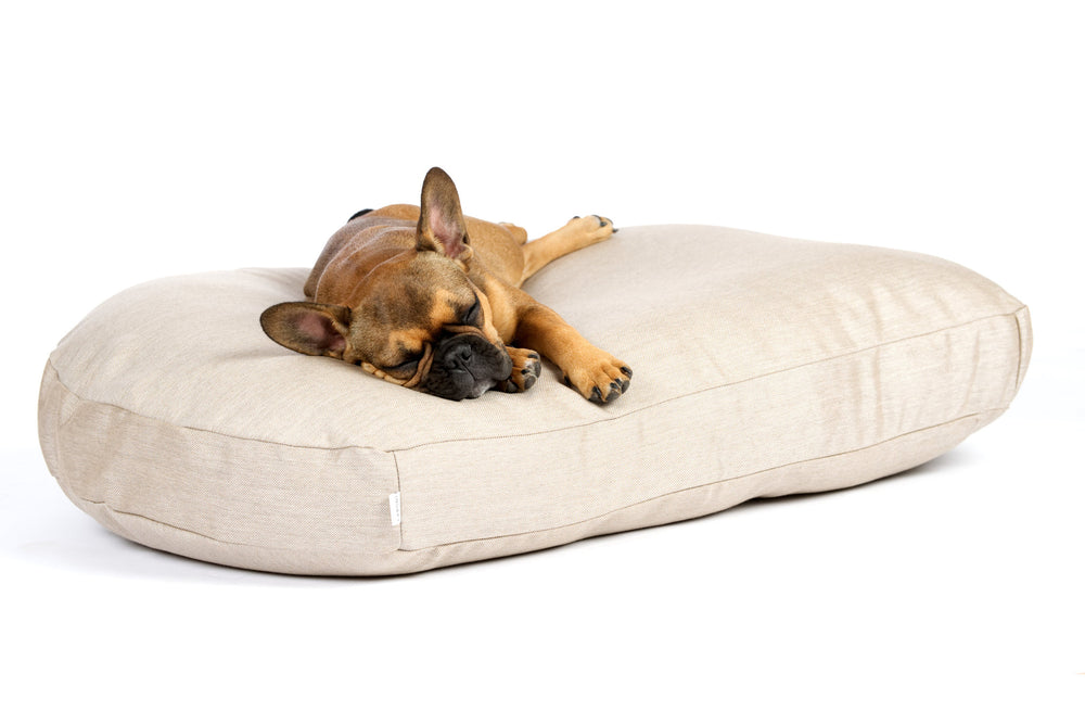 Hund schläft auf hellem Kissen, Bezug Set 2 tlg LUNA LOUNGE, Dekokissen SMOOTH, entspannende Hundelounge.