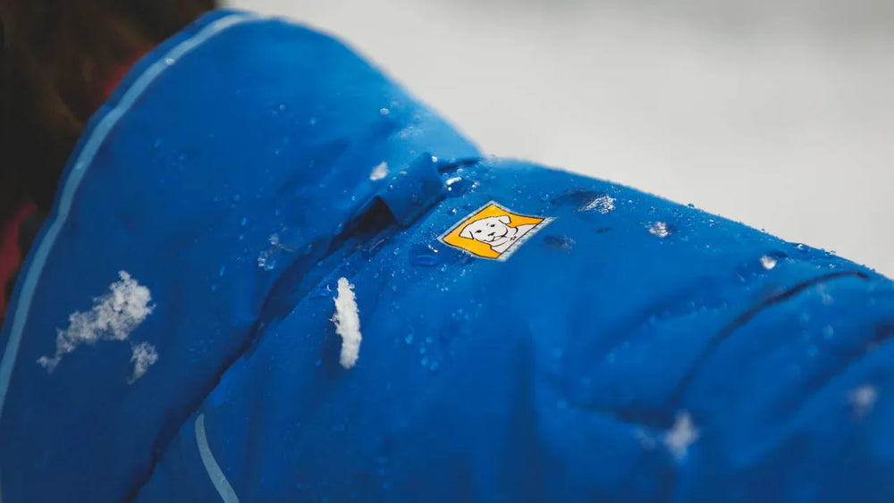 Blaue Winterjacke mit gelbem Bären-Logo und wasserdichter Oberfläche, umgeben von Schneeflocken.