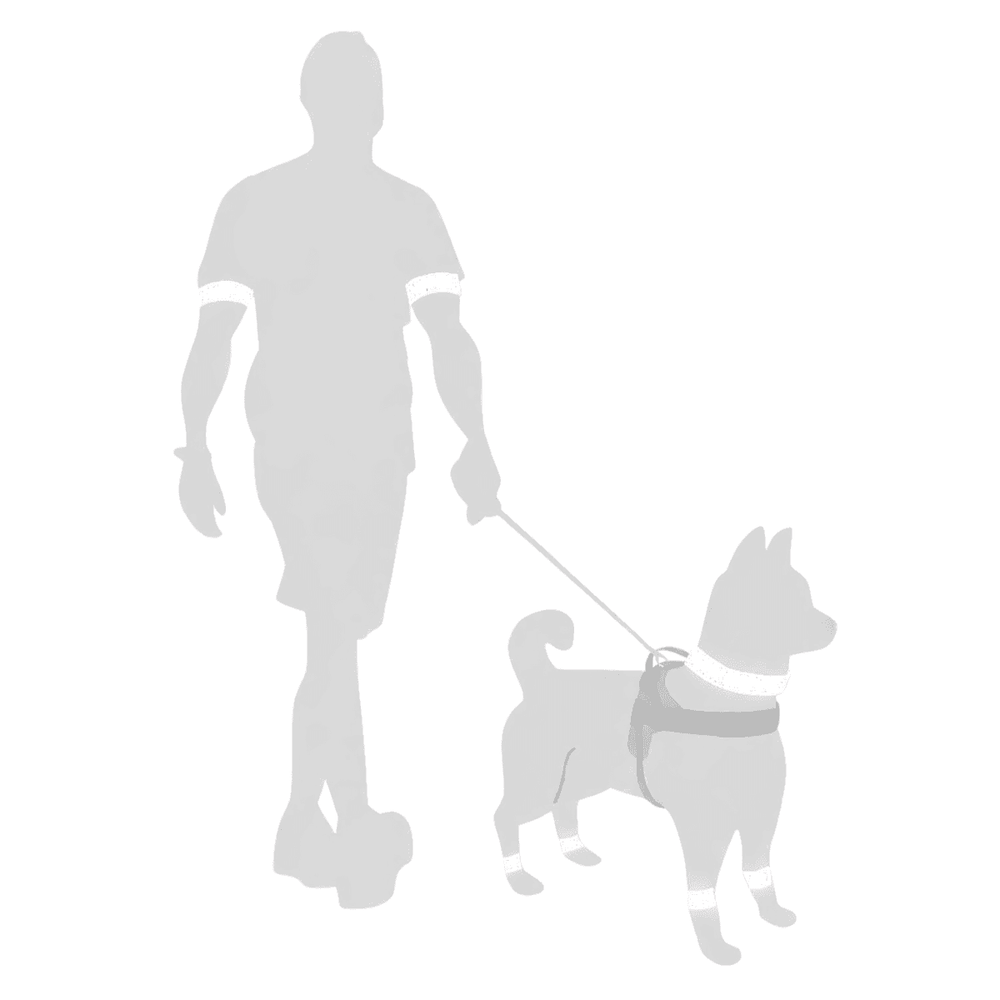 Schematische Darstellung eines Mannes mit Hund, beide mit reflektierenden Elementen an den Oberarmen, die Sicherheit im Dunkeln zeigen.