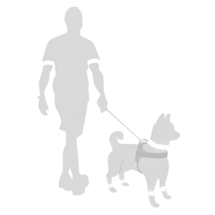 Schematische Darstellung eines Mannes mit Hund, beide mit reflektierenden Elementen an den Oberarmen, die Sicherheit im Dunkeln zeigen.